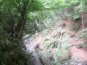 f:id:kaunet:20090715061115j:image