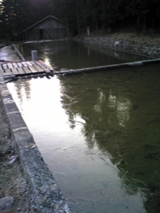 f:id:kaunet:20111224193645j:image:w360:left
