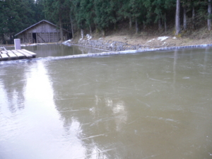 f:id:kaunet:20120103202429j:image