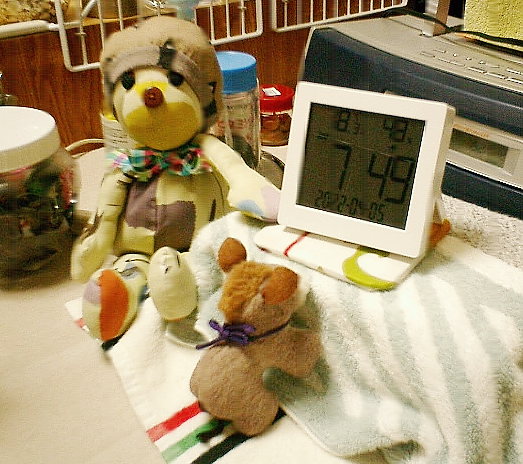 まあええがね、時計とか温湿度計は使えるんだで(名古屋弁が好きなクマのこぼね談)