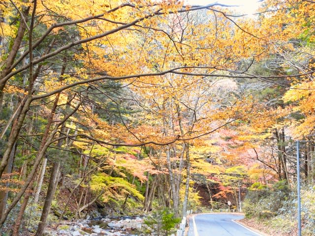 花貫渓谷・花園渓谷 - 多摩川サイクリングロードの車窓から
