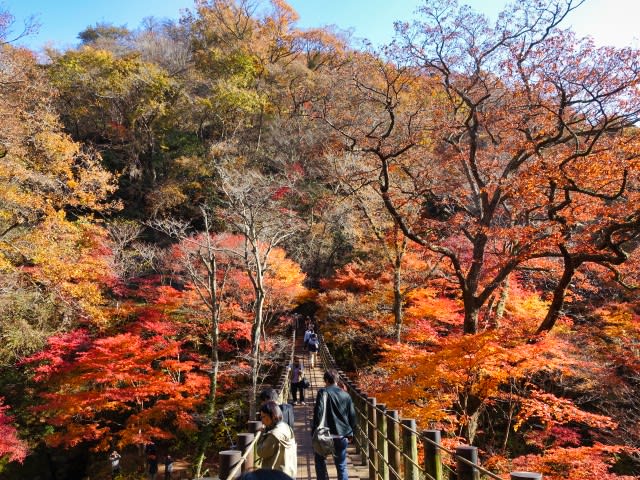 花貫渓谷・花園渓谷 - 多摩川サイクリングロードの車窓から
