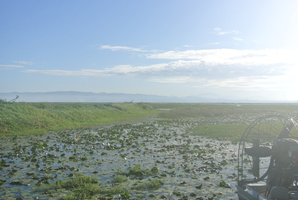 f:id:kawa0318jp:20170419051252j:plain