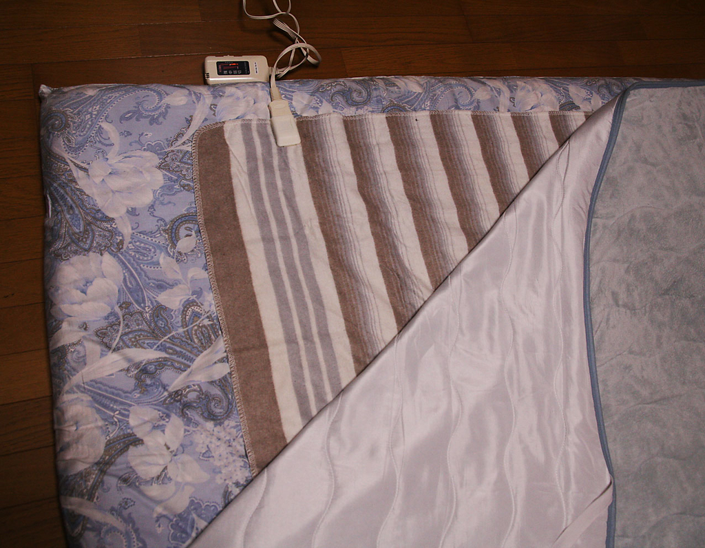 電気敷き毛布 これ１枚で布団の中がお風呂のよう 知って得 あなたの生活をもっと豊かに