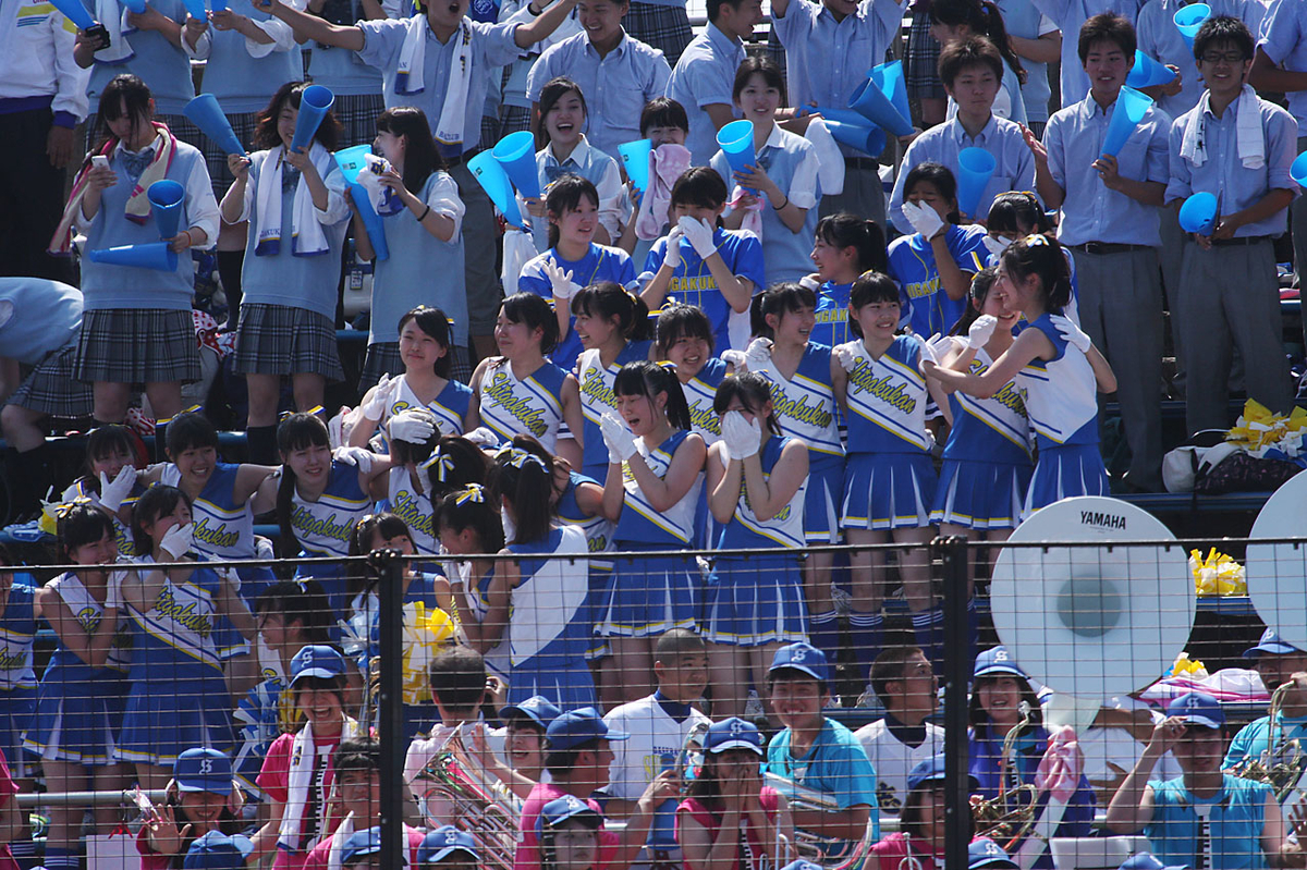 f:id:kawa2496:20190609094242j:plain