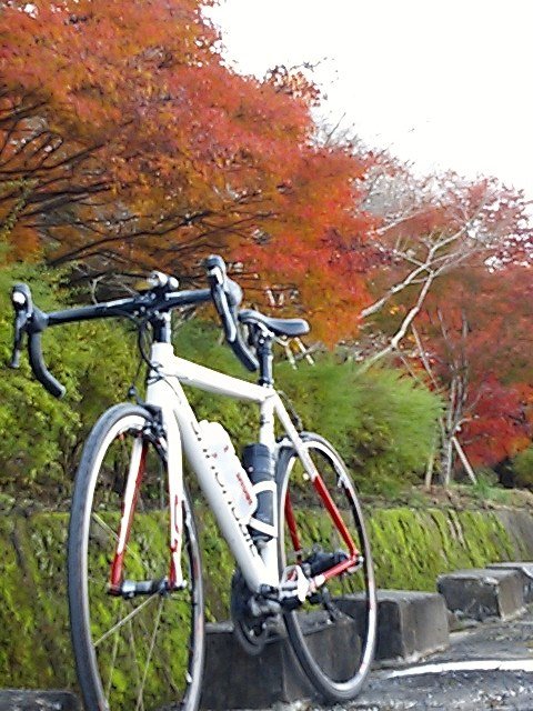 イメージ 4