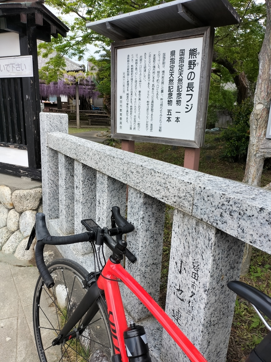 熊野の長藤