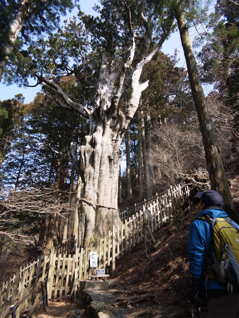 f:id:kawaasobibu:20160309222840j:image f:id:kawaasobibu:20160309222840j:image