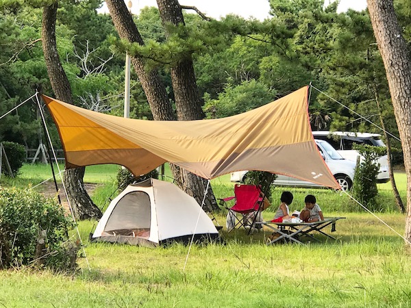 松 ヤニ の 落とし 方