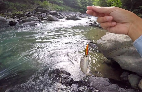 f:id:kawabatamasami:20190620080622p:plain