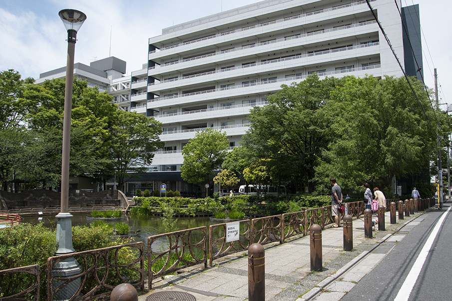 カルガモの親子専用ページ カルガモ親子2024～飛べるまでの成長記録～32日目【4K60p記録