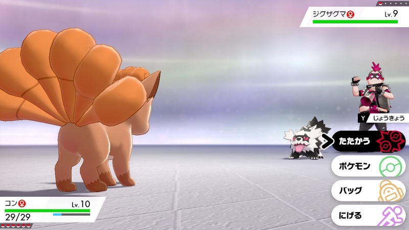 ポケモン 剣 エール団 戦闘記録 何かに夢中になれることは素晴らしい が 狩ブロ