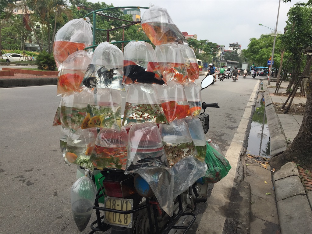 金魚売りというか魚売り 株初心者がベトナム株に挑戦