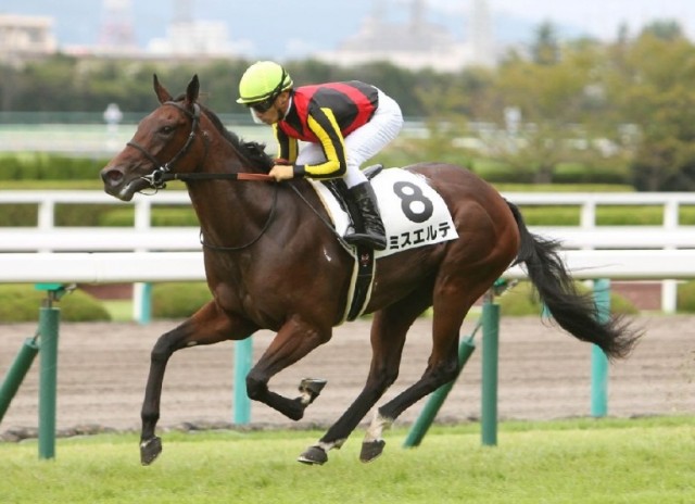 f:id:kawachinothoroughbred:20161126114634j:plain f:id:kawachinothoroughbred:20161126114634j:plain