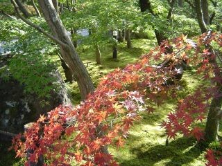 kyoto-04.jpg