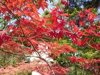 kyoto-05.jpg