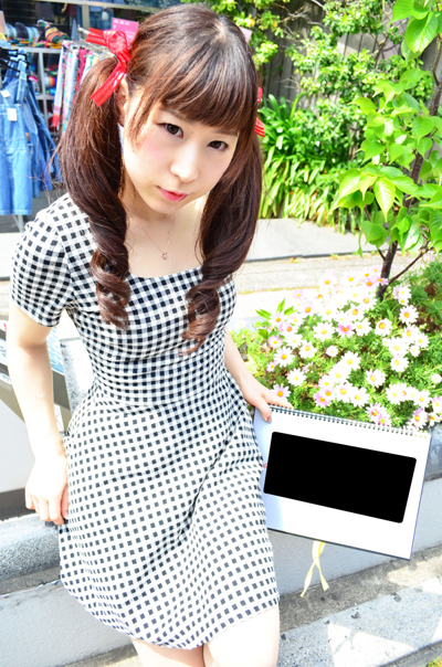 f:id:kawada1234:20160414184422j:plain