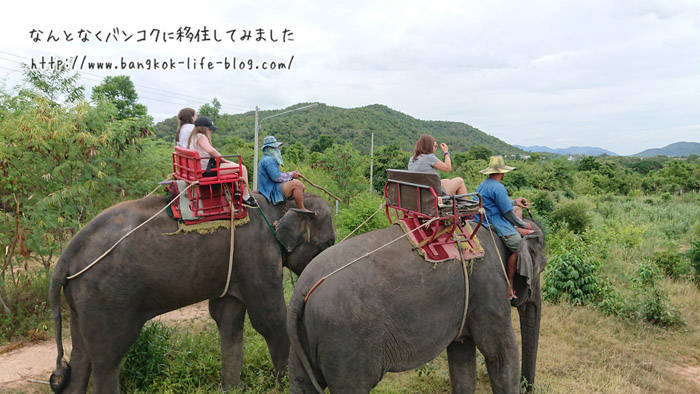 ホアヒンで象に乗る　エレファント ビレッジ(Elephant Village)