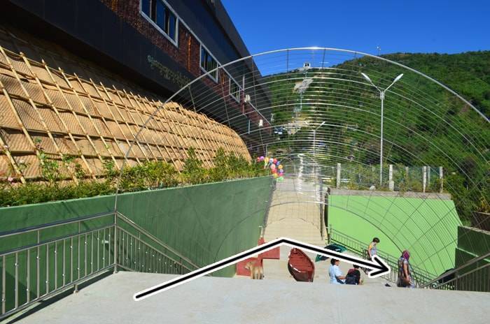 f:id:kawada1234:20190126212211j:plain f:id:kawada1234:20190126212211j:plain