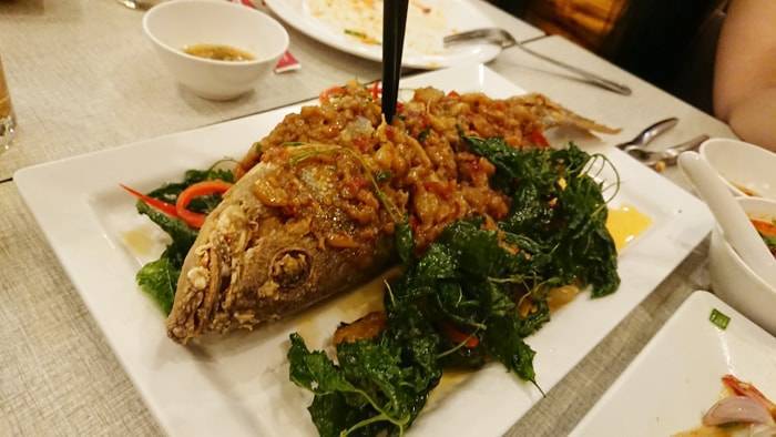 f:id:kawada1234:20190213201233j:plain