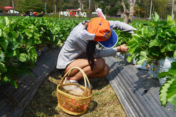 f:id:kawada1234:20190830200637j:plain