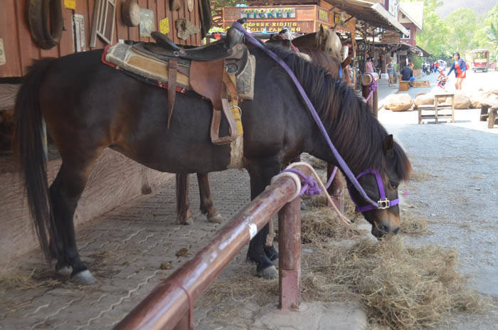 f:id:kawada1234:20190830202156j:plain