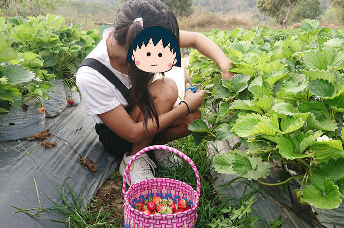 f:id:kawada1234:20190904131509j:plain