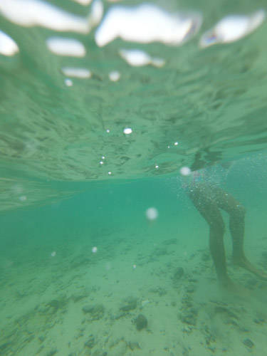 f:id:kawada1234:20191011190734j:plain