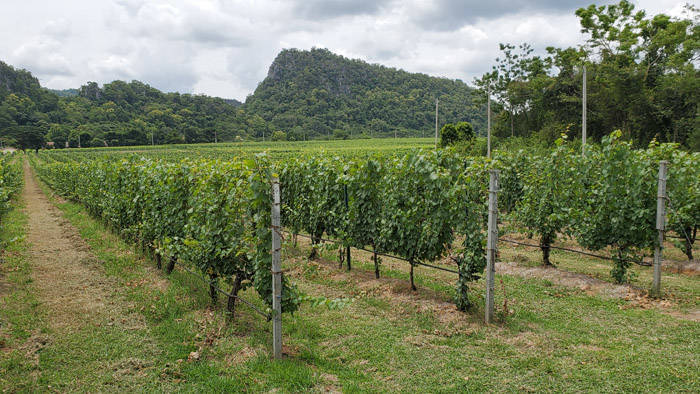 f:id:kawada1234:20200801192935j:plain