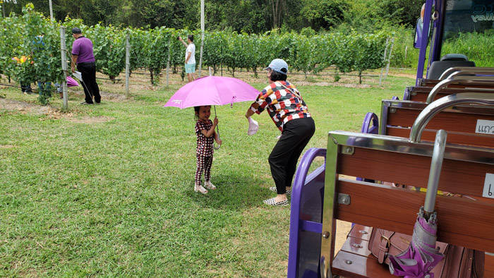 f:id:kawada1234:20200801193029j:plain