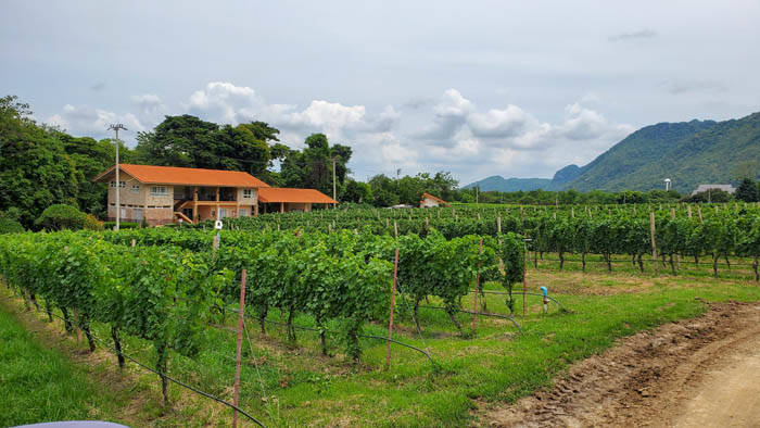 f:id:kawada1234:20200801193144j:plain