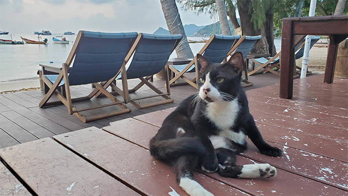 f:id:kawada1234:20201207174151j:plain