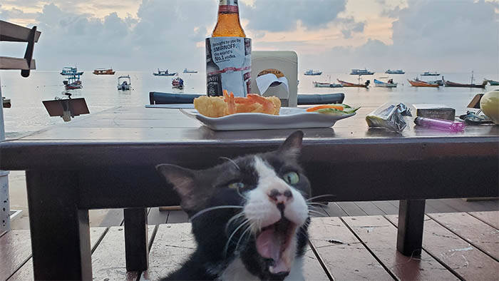 f:id:kawada1234:20201207182655j:plain