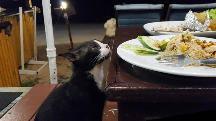 f:id:kawada1234:20201207184017j:plain