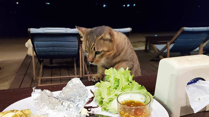 f:id:kawada1234:20201207184115j:plain