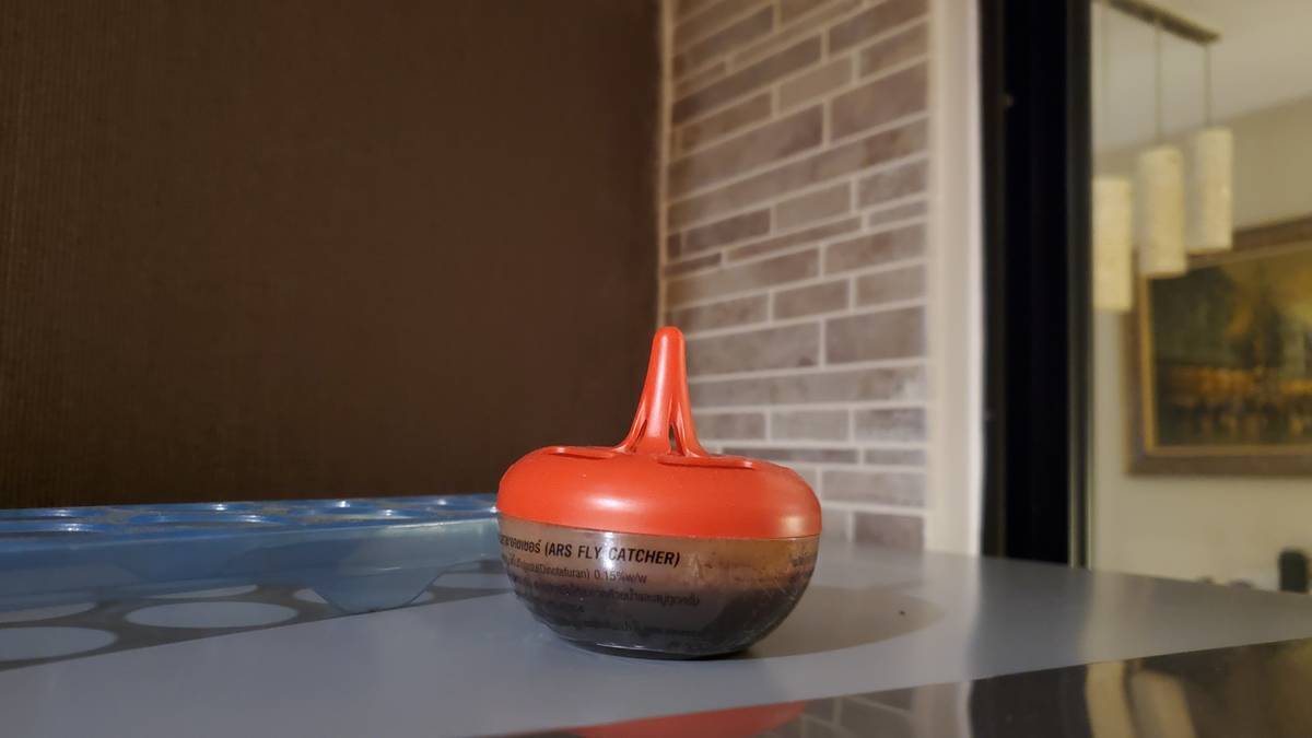 f:id:kawada1234:20220117145748j:plain