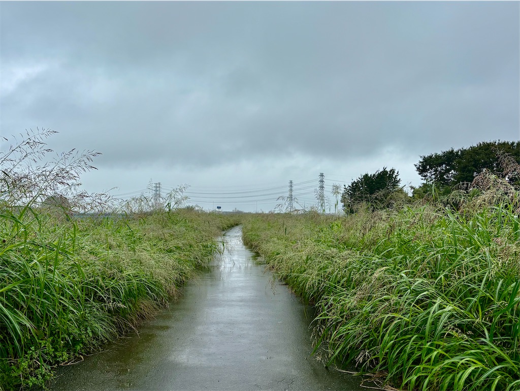 f:id:kawagoe-rs:20241005163432j:image f:id:kawagoe-rs:20241005163432j:image
