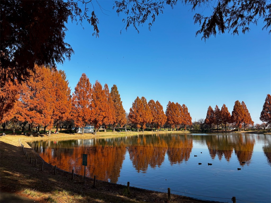 f:id:kawagoe-rs:20251130143750j:image f:id:kawagoe-rs:20251130143750j:image