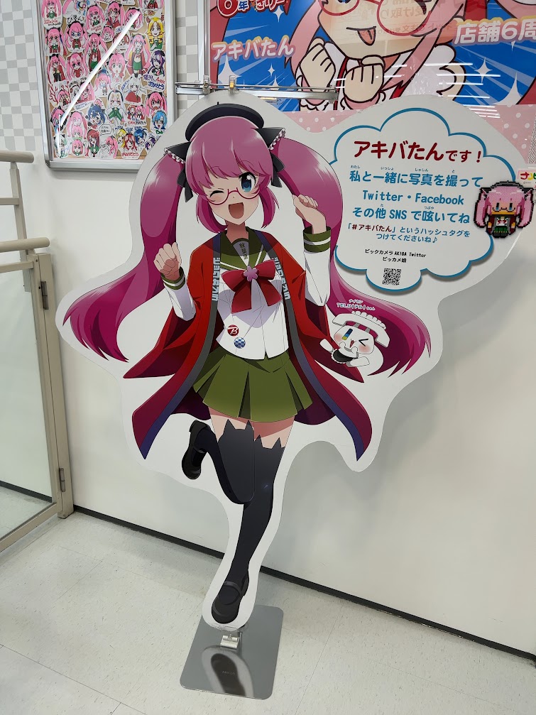 ここで行かなくては オタクが廃るってもんよ〜2023夏 関東ビッカメ巡り〜 - 天鵞絨色のエトセトラ ~Velvet-colored ...