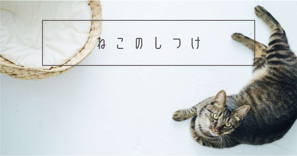 f:id:kawaguchimama:20210809122653p:image