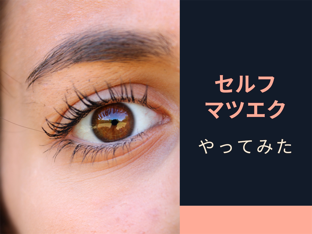 f:id:kawaguchimama:20210811115534p:image