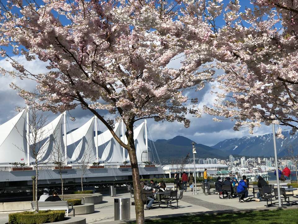 なりたい自分になる ために挑戦するブログ 留学挫折からの英会話