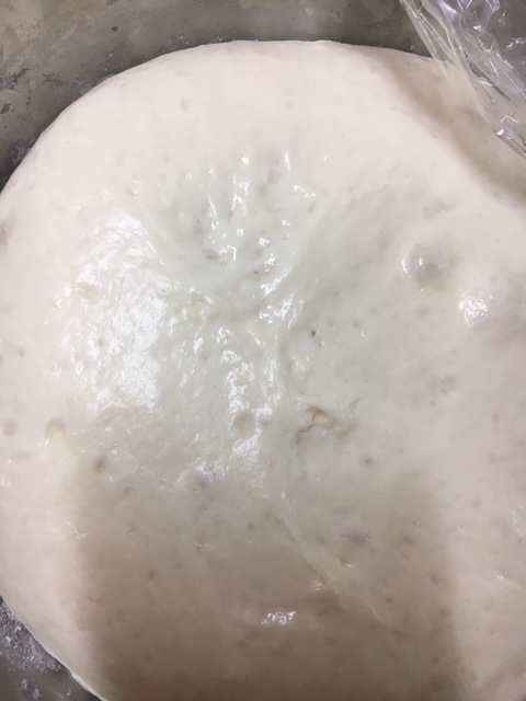 フランスパン一次発酵