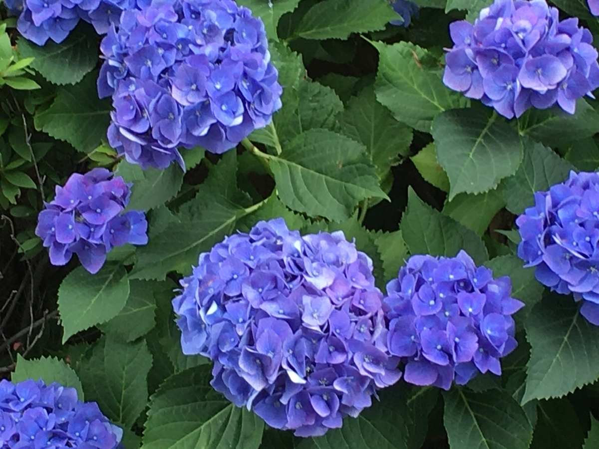 f:id:kawaii-handmade:20210612230919j:plain