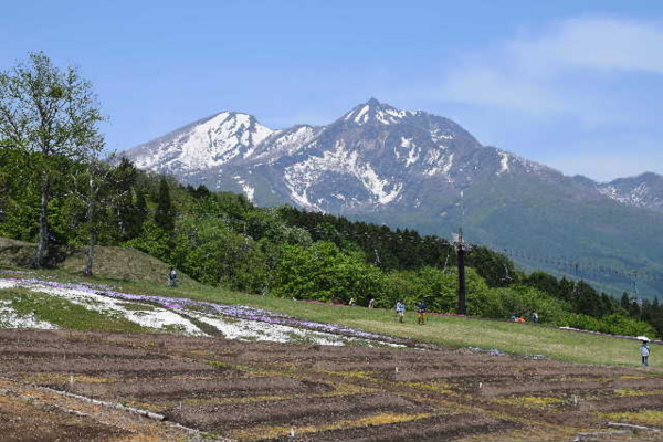 f:id:kawaiikuo:20150517110952j:image
