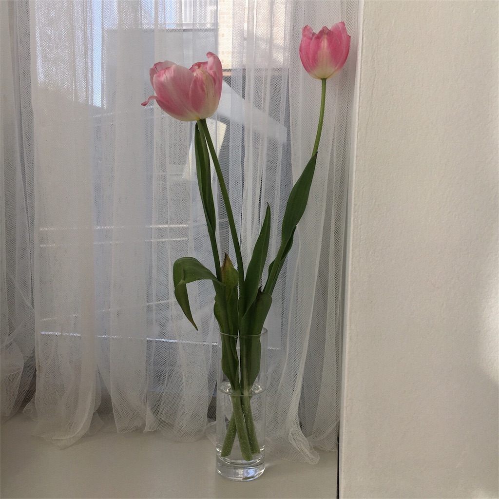 f:id:kawaiitkrmn:20180624200010j:image f:id:kawaiitkrmn:20180624200010j:image