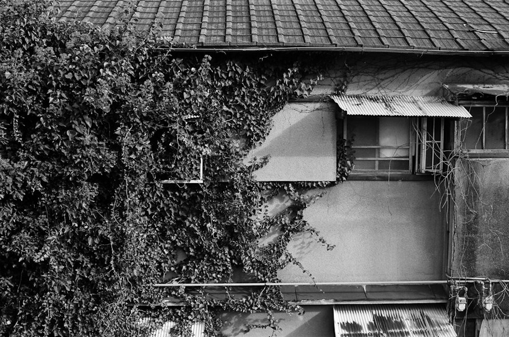 f:id:kawaikazuki4:20200903180302j:image