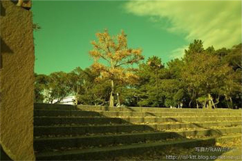 f:id:kawaikazuki4:20200903183821j:image