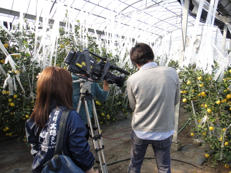f:id:kawaikje:20131124133635j:image