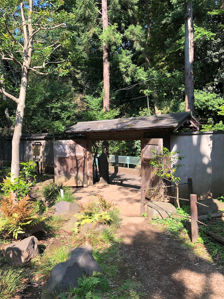 f:id:kawaishun0915:20190523205206j:image f:id:kawaishun0915:20190523205206j:image